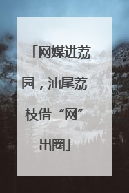 网媒进荔园，汕尾荔枝借“网”出圈