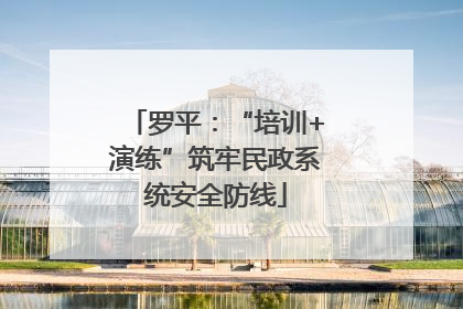 罗平：“培训+演练”筑牢民政系统安全防线