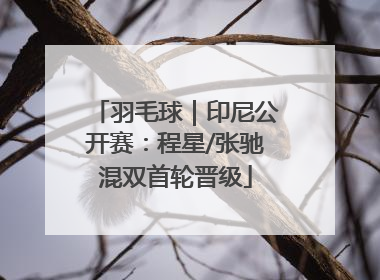 羽毛球｜印尼公开赛：程星/张驰混双首轮晋级