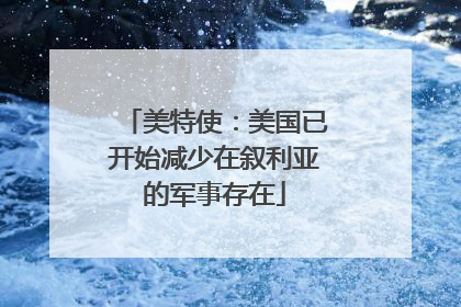 美特使：美国已开始减少在叙利亚的军事存在