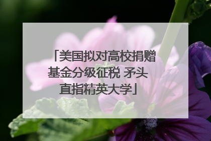 美国拟对高校捐赠基金分级征税 矛头直指精英大学