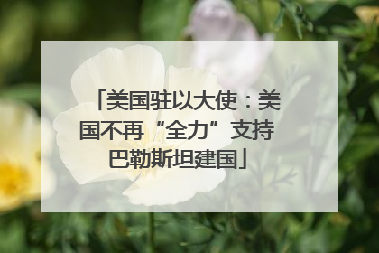 美国驻以大使：美国不再“全力”支持巴勒斯坦建国