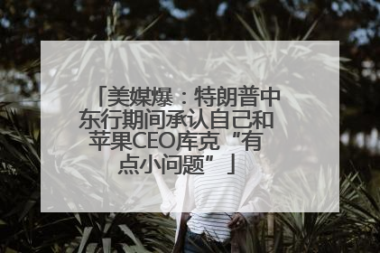 美媒爆：特朗普中东行期间承认自己和苹果CEO库克“有点小问题”