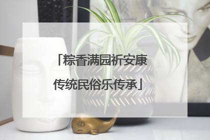 粽香满园祈安康 传统民俗乐传承