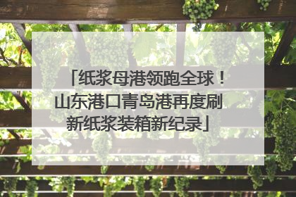 纸浆母港领跑全球！山东港口青岛港再度刷新纸浆装箱新纪录