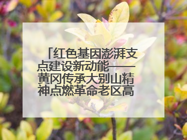 红色基因澎湃支点建设新动能——黄冈传承大别山精神点燃革命老区高质量发展新引擎
