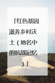 红色基因滋养乡村沃土（地名中的抗战记忆）