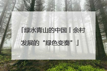 绿水青山的中国丨余村发展的“绿色变奏”