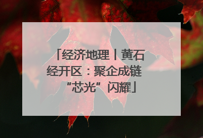 经济地理丨黄石经开区：聚企成链“芯光”闪耀