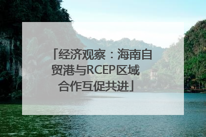 经济观察：海南自贸港与RCEP区域合作互促共进