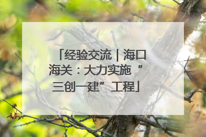 经验交流｜海口海关：大力实施“三创一建”工程