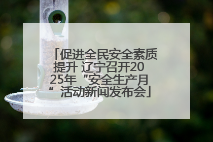 促进全民安全素质提升 辽宁召开2025年“安全生产月”活动新闻发布会