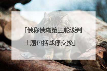 俄称俄乌第三轮谈判主题包括战俘交换