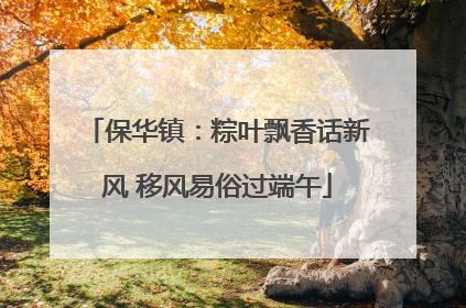 保华镇：粽叶飘香话新风 移风易俗过端午