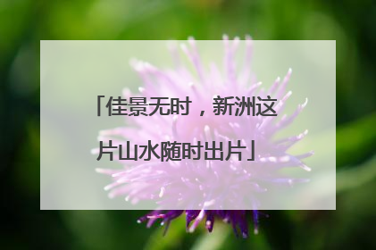 佳景无时，新洲这片山水随时出片