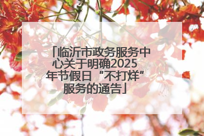 临沂市政务服务中心关于明确2025年节假日“不打烊”服务的通告