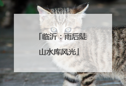临沂：雨后陡山水库风光