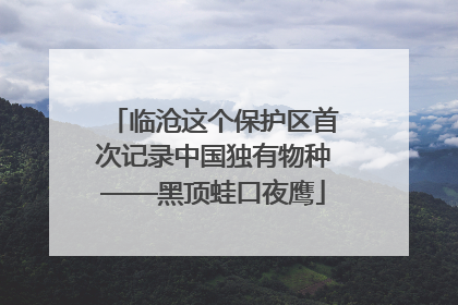 临沧这个保护区首次记录中国独有物种——黑顶蛙口夜鹰
