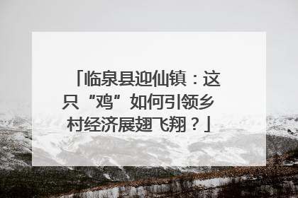 临泉县迎仙镇：这只“鸡”如何引领乡村经济展翅飞翔？
