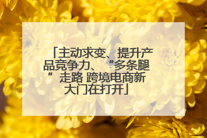 主动求变、提升产品竞争力、“多条腿”走路 跨境电商新大门在打开