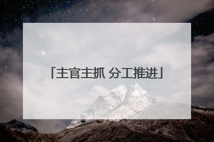 主官主抓 分工推进