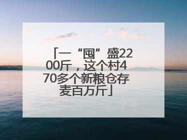 一“囤”盛2200斤，这个村470多个新粮仓存麦百万斤