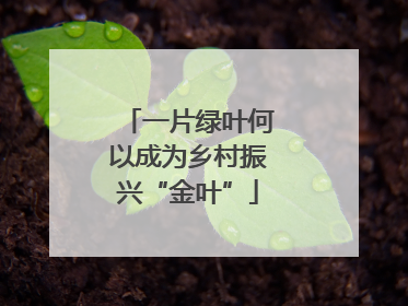 一片绿叶何以成为乡村振兴“金叶”