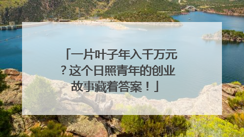 一片叶子年入千万元？这个日照青年的创业故事藏着答案！