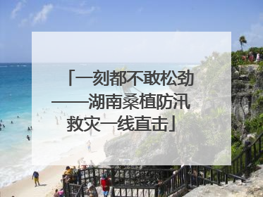 一刻都不敢松劲——湖南桑植防汛救灾一线直击
