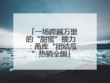 一场跨越万里的“甜蜜”接力：甬库“团结瓜”热销全国