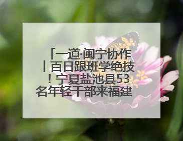 一道·闽宁协作丨百日跟班学绝技！宁夏盐池县53名年轻干部来福建取“真经”