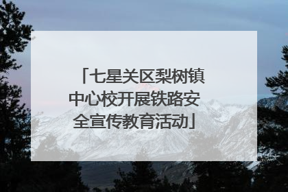 七星关区梨树镇中心校开展铁路安全宣传教育活动