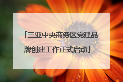 三亚中央商务区党建品牌创建工作正式启动