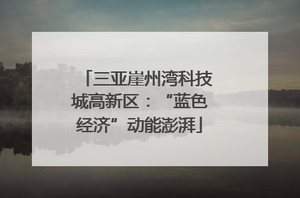 三亚崖州湾科技城高新区：“蓝色经济”动能澎湃