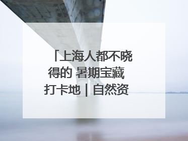 上海人都不晓得的 暑期宝藏打卡地｜自然资源探馆系列②