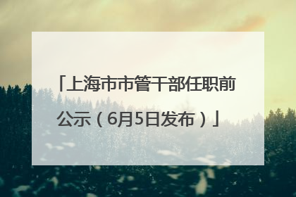 上海市市管干部任职前公示（6月5日发布）