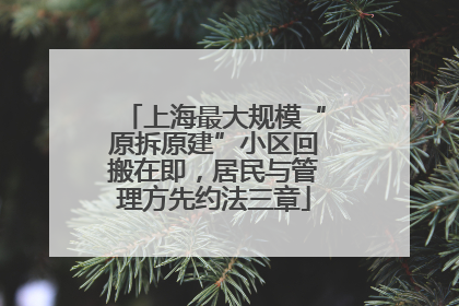 上海最大规模“原拆原建”小区回搬在即，居民与管理方先约法三章