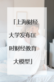 上海财经大学发布匡时财经教育大模型