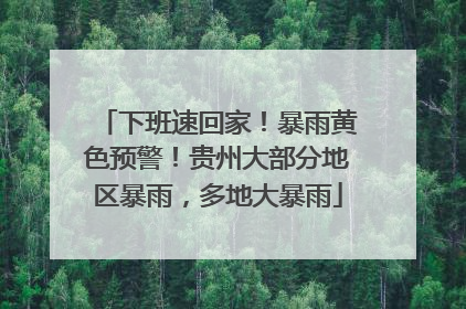 下班速回家！暴雨黄色预警！贵州大部分地区暴雨，多地大暴雨