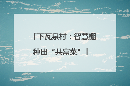下瓦泉村：智慧棚种出“共富菜”