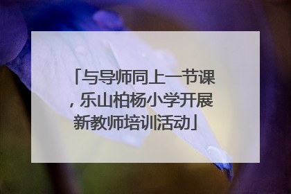 与导师同上一节课，乐山柏杨小学开展新教师培训活动
