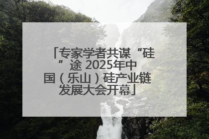 专家学者共谋“硅”途 2025年中国（乐山）硅产业链发展大会开幕