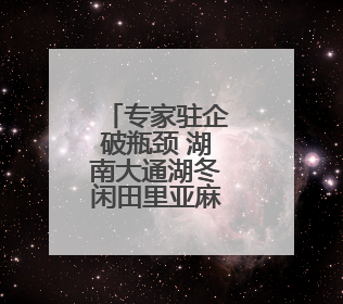 专家驻企破瓶颈 湖南大通湖冬闲田里亚麻“生金”