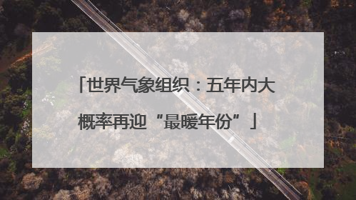 世界气象组织：五年内大概率再迎“最暖年份”