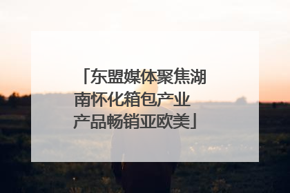 东盟媒体聚焦湖南怀化箱包产业 产品畅销亚欧美