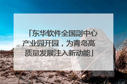 东华软件全国副中心产业园开园，为青岛高质量发展注入新动能
