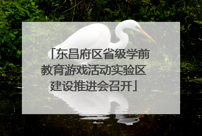 东昌府区省级学前教育游戏活动实验区建设推进会召开