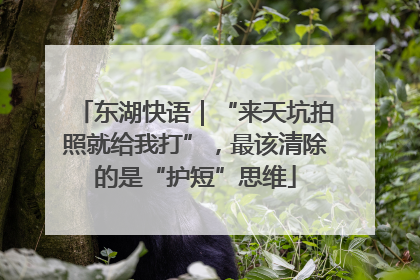 东湖快语｜“来天坑拍照就给我打”，最该清除的是“护短”思维