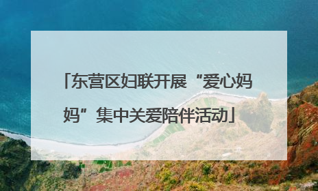 东营区妇联开展“爱心妈妈”集中关爱陪伴活动