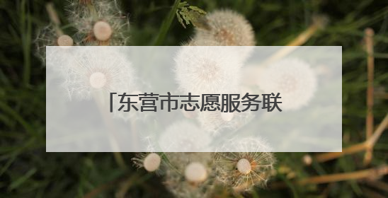 东营市志愿服务联合会“农忙来帮忙 服务不打烊”